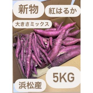 2Sサイズ B品訳あり 約５kg入り 紅はるか さつまいも #5(野菜)