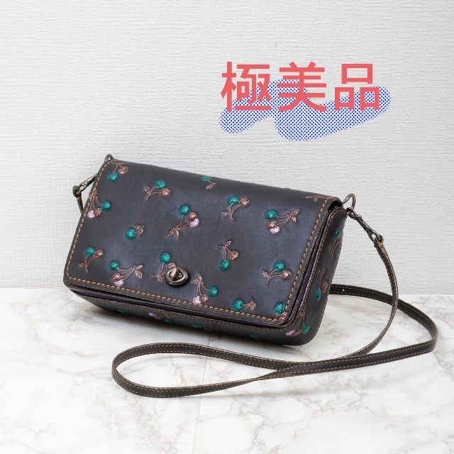 【極美品】COACH(コーチ) ディンキー チェリーレザーショルダーバッグ