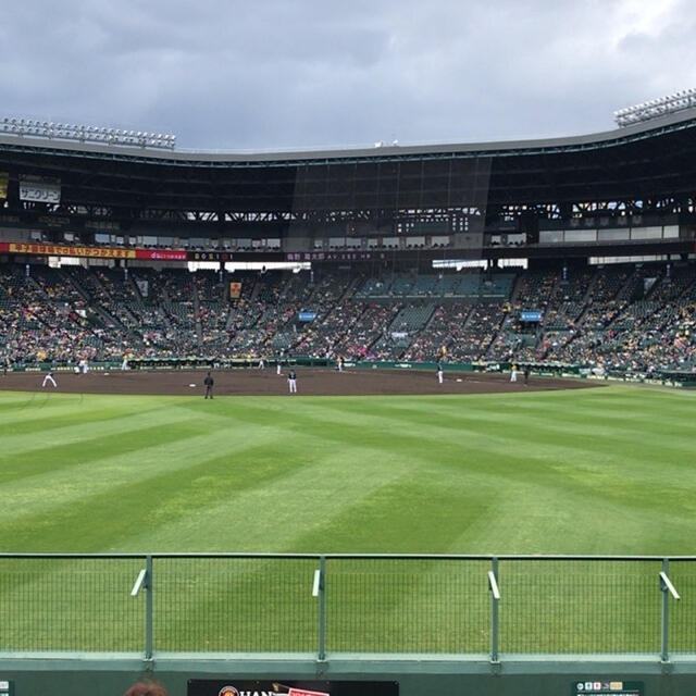 阪神タイガース(ハンシンタイガース)の【プロ野球】９月１８日（土）阪神 vs 中日 レフト外野指定席 ペアチケット チケットのスポーツ(野球)の商品写真