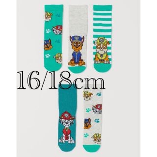 エイチアンドエム(H&M)の《新作》新品 パウパトロール ソックス　靴下　5足セット 16/18cm(靴下/タイツ)