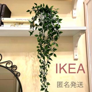 イケア(IKEA)の【新品】IKEA イケア フェイクグリーン 人工観葉植物 （フェイカ）(その他)