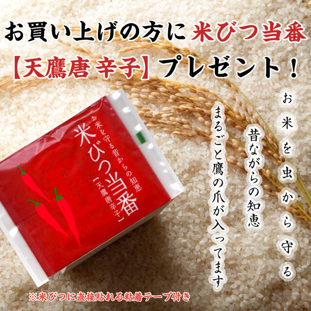 令和2年産 生活応援米 24kg コスパ米 米びつ当番プレゼント付き お米 激安 食品/飲料/酒の食品(米/穀物)の商品写真