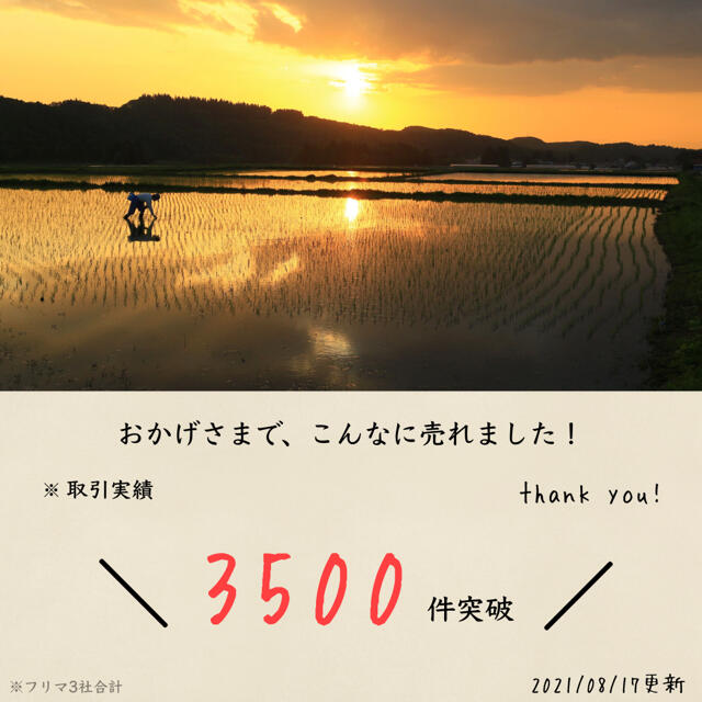 令和2年産 生活応援米 24kg コスパ米 米びつ当番プレゼント付き お米 激安 食品/飲料/酒の食品(米/穀物)の商品写真