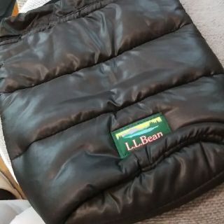 エルエルビーン(L.L.Bean)のL.L.Bean ポシェット(ショルダーバッグ)