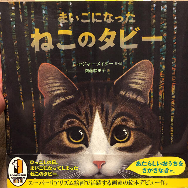 まいごになったねこのタビー　7冊セット