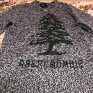 アバクロンビーアンドフィッチ(Abercrombie&Fitch)のアバクロ☆Abercrombie&Fitch☆セーター(ニット/セーター)