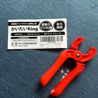 アンパンマン(アンパンマン)のかいたいKing  (ベビージム)