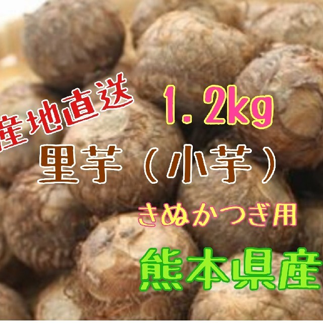 里芋（小芋）1.2kg きぬかつぎ用　 熊本県産 食品/飲料/酒の食品(野菜)の商品写真