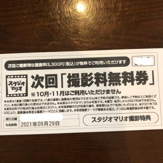 キタムラ(Kitamura)のスタジオマリオ　撮影料無料券(その他)