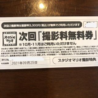 キタムラ(Kitamura)のスタジオマリオ　撮影料無料券(その他)