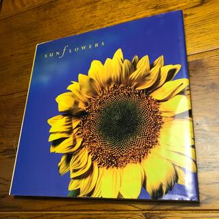 Sunflowers(洋書)