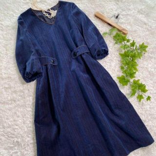 ネストローブ(nest Robe)のa745 美品✨サリースコット　ベロア素材ワンピース(ロングワンピース/マキシワンピース)