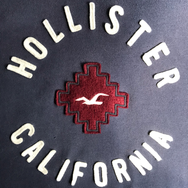 Hollister(ホリスター)のHOLLISTER ホリスター パーカー フーディー アメカジ M ネイビー  メンズのトップス(パーカー)の商品写真