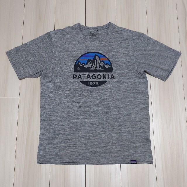 patagonia(パタゴニア)のpatagonia　メンズデイリーテックシャツ メンズのトップス(Tシャツ/カットソー(半袖/袖なし))の商品写真