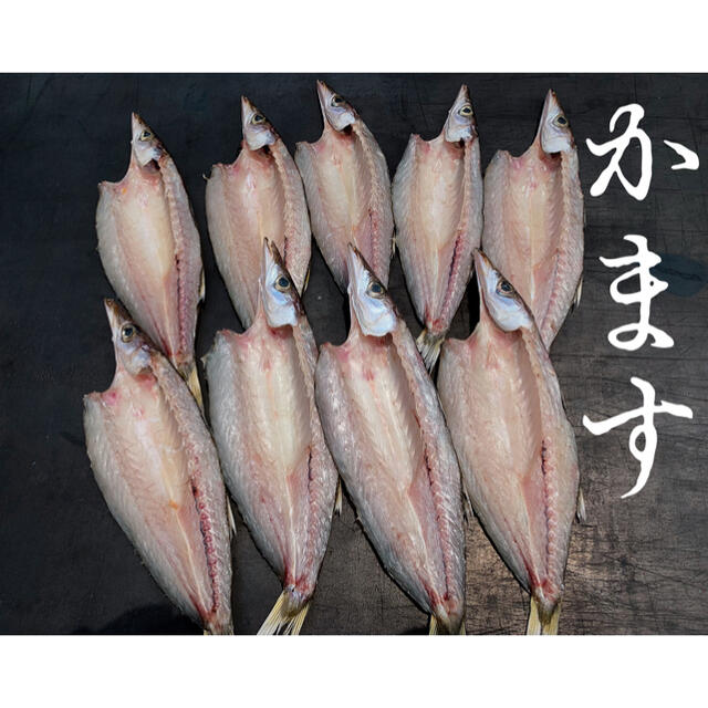 干物！カマス開き9枚！ 食品/飲料/酒の食品(魚介)の商品写真