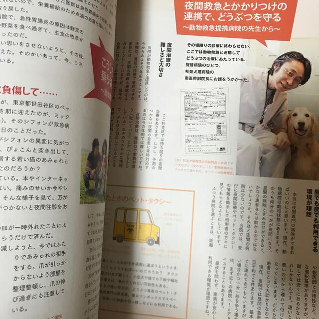 人と動物のライフスタイル誌 アニコム パフェ ジャポンの通販 By みぞれ月見うどん S Shop ラクマ