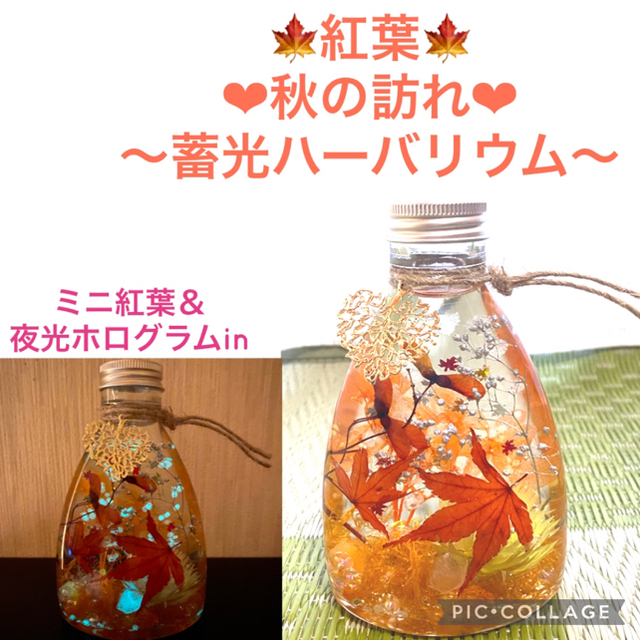 プリザーブドフラワー【紅葉】〜❄︎秋限定❄︎〜❤︎紅葉＆蓄光ホログラムin❤︎ハーバリウムM