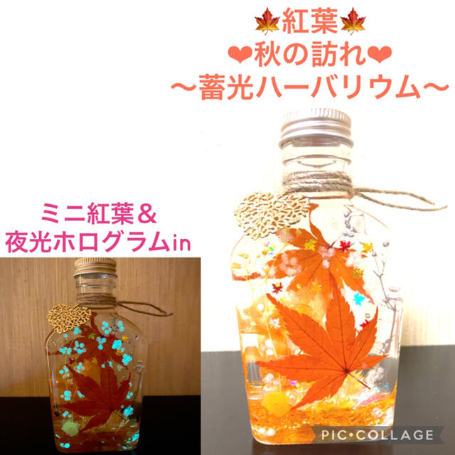 【紅葉】〜❄︎秋限定❄︎〜❤︎紅葉＆蓄光ホログラムin❤︎ハーバリウムMフラワー/ガーデン