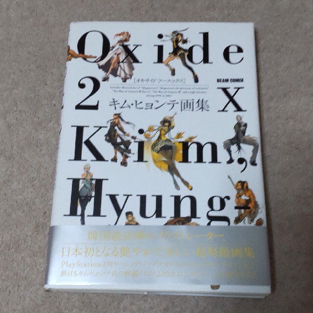 Oxide 2x キム・ヒョンテ画集 エンタメ/ホビーの本(その他)の商品写真