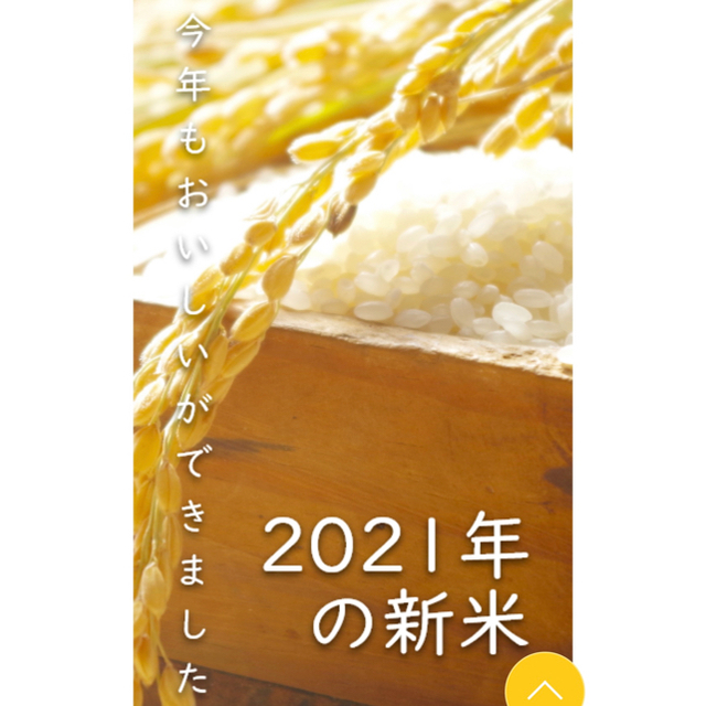 令和4年石川県産新米ゆめみづほ24キロ玄米可能 iaKnc9SEsT