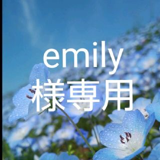 emily様専用(その他)