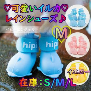 M可愛いイルカレインシューズ レイン靴 レインブーツ 犬用品 犬の服 猫 わんこ(犬)