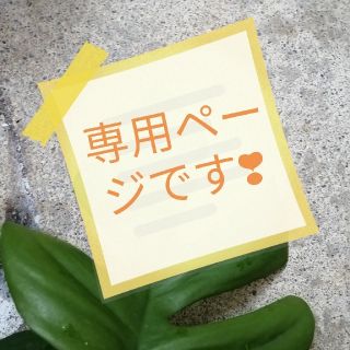 paper_hy様専用ページ❣ヒメモンステラカット苗(その他)