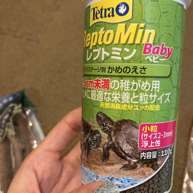 Tetra(テトラ)の亀の飼育用品 その他のペット用品(爬虫類/両生類用品)の商品写真