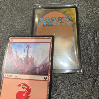 マジックザギャザリング(マジック：ザ・ギャザリング)のMTG基本地形②(シングルカード)