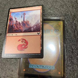 マジックザギャザリング(マジック：ザ・ギャザリング)のMTG基本地形④(シングルカード)