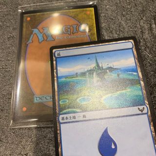 マジックザギャザリング(マジック：ザ・ギャザリング)のMTG基本地形⑨(シングルカード)