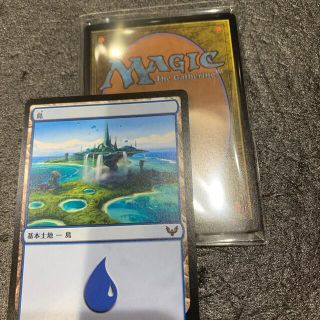 マジックザギャザリング(マジック：ザ・ギャザリング)のMTG基本地形⑩(シングルカード)