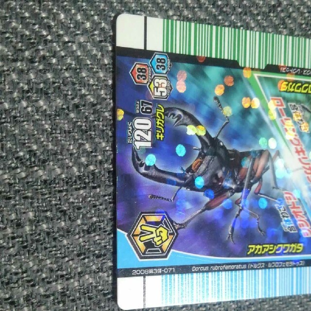 ムシキング アダー完結編 コクワガタ×アカアシクワガタ 合体 特殊掛け合い ムシキング アダー完結編 コクワガタ×アカアシクワガタ 合体 特殊掛け合い