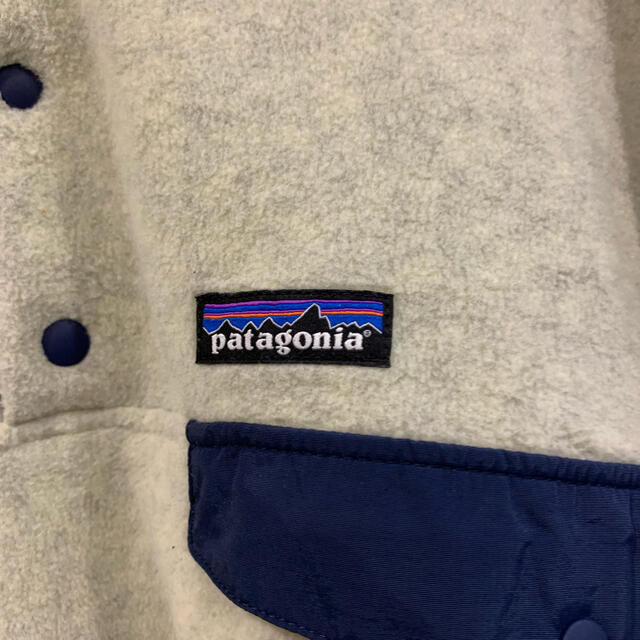 Patagoniaシンチラ 1