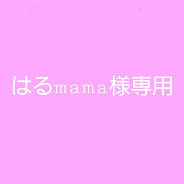 はるmama様専用ページ 安価 ワタナベ bieglechitow.pl