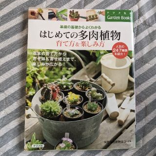 はじめての多肉植物育て方＆楽しみ方 基礎の基礎からよくわかる(趣味/スポーツ/実用)