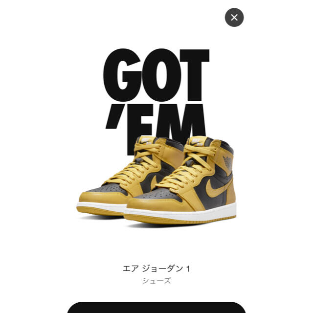 AIR JORDAN NIKE RETRO HIGH ナイキエアジョーダン1