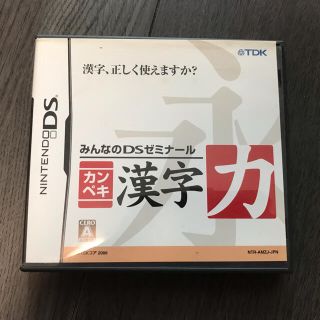 みんなのDSゼミナール カンペキ漢字力 DS(携帯用ゲームソフト)