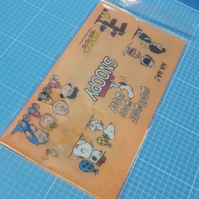 PEANUTS(ピーナッツ)のマスクケース/チケットケース「スヌーピー」 エンタメ/ホビーのアニメグッズ(クリアファイル)の商品写真