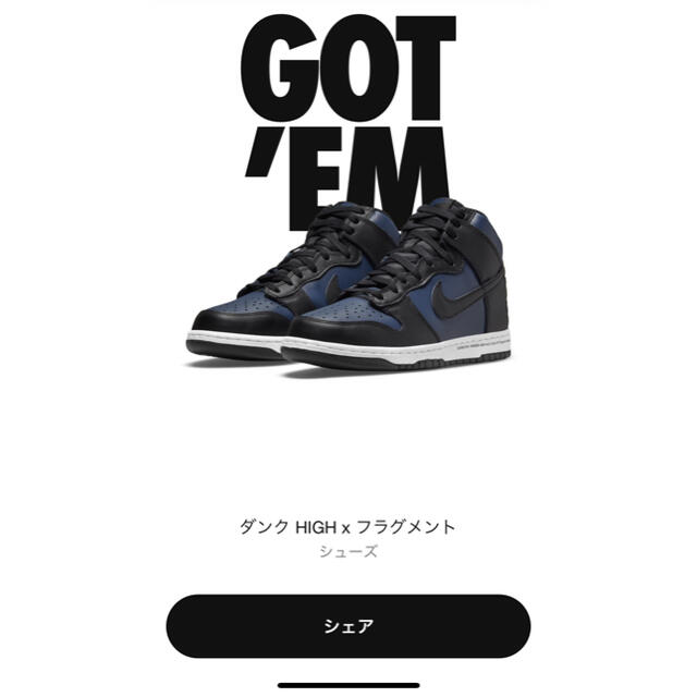 NIKEフラグメント　ダンク　27