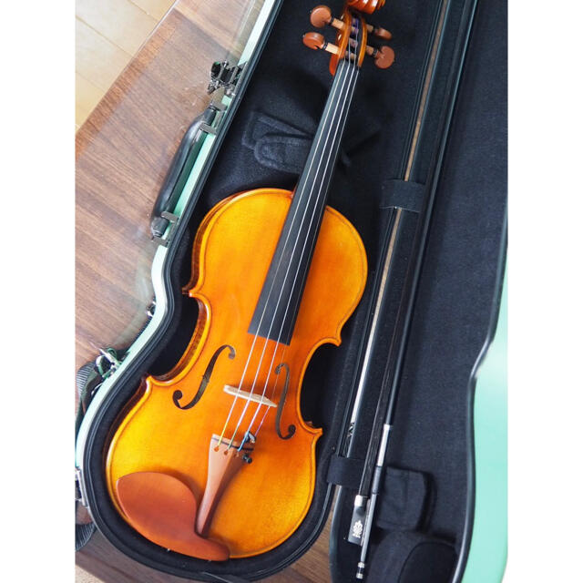 最終価格 バイオリン CARLO GIORDANO 4/4大人用 www.krzysztofbialy.com