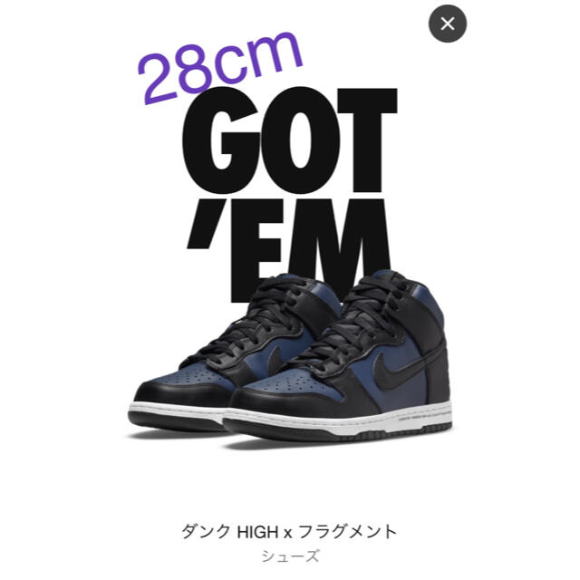 NIKE ダンク×フラグメント 28cm