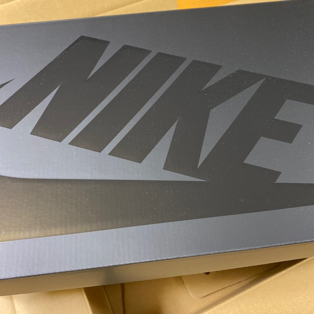 NIKE(ナイキ)のNike  ダンクHIGH✖️フラグメント メンズの靴/シューズ(スニーカー)の商品写真
