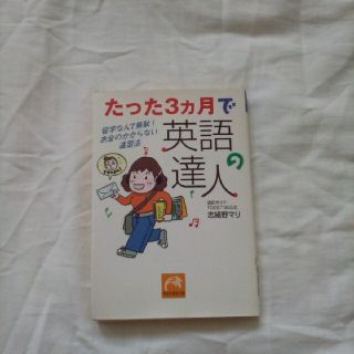 たった３カ月で英語の達人 留学なんて無駄！お金のかからない速習法(文学/小説)