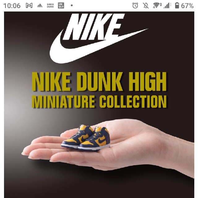 NIKE(ナイキ)のNIKE DUNK HIGH MINITURE COLLECTION エンタメ/ホビーのフィギュア(その他)の商品写真