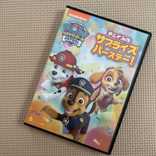 パウ・パトロール　チェイスのサプライズバースデー！ DVD(アニメ)