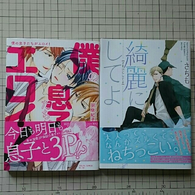 角川書店(カドカワショテン)の僕の息子たちがエロイ!、綺麗にしてよ のセット エンタメ/ホビーの漫画(ボーイズラブ(BL))の商品写真