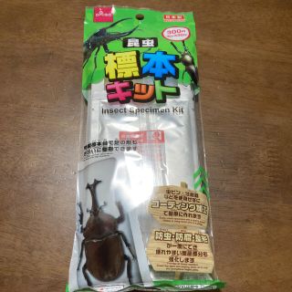 きぶちん様専用　標本キット　昆虫用(虫類)