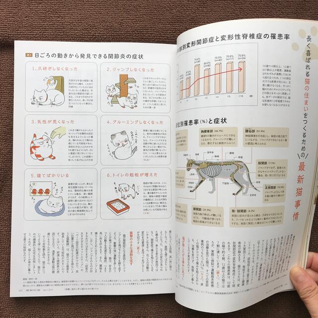 【リサイクル本】建築知識 2019年 4月号【海外に学ぶ猫のための家づくり】 エンタメ/ホビーの雑誌(専門誌)の商品写真