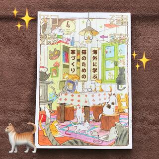 【リサイクル本】建築知識 2019年 4月号【海外に学ぶ猫のための家づくり】(専門誌)